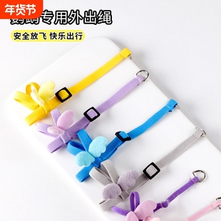 小鸟牵引绳外出超轻玄凤鹦鹉放飞绳牡丹鸟用背带遛鸟神器用品玩具