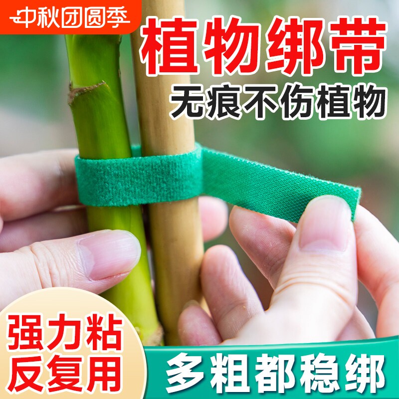 植物固定绑带绑花扎带园艺捆扎线										