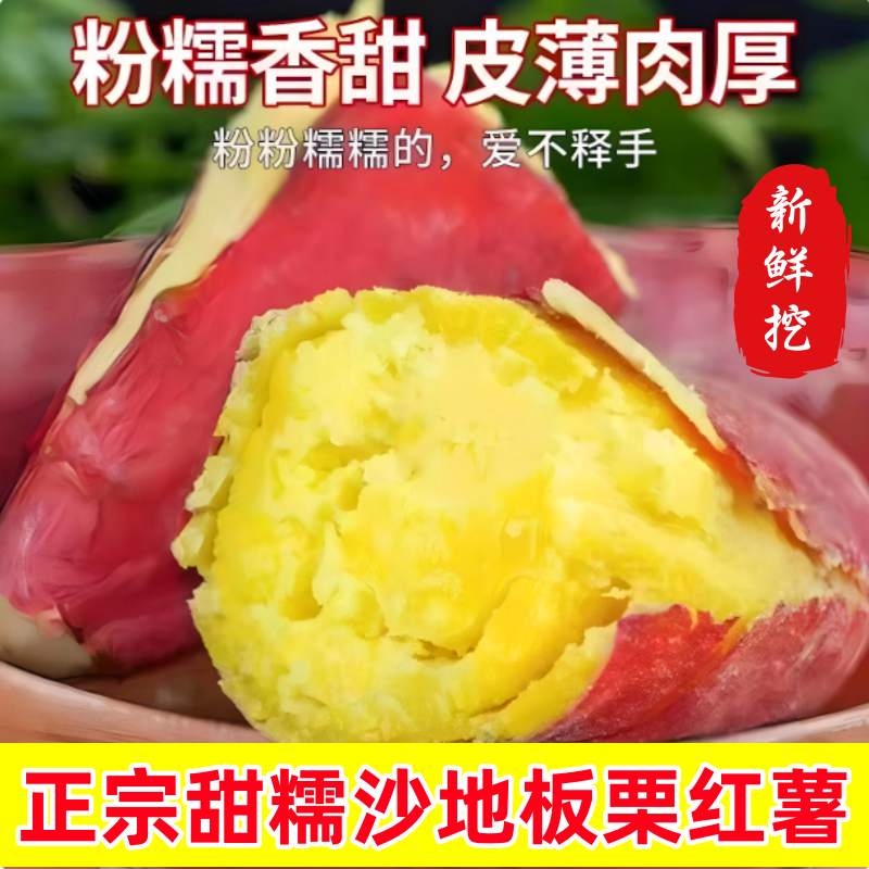 正宗板栗红薯番薯地瓜新鲜栗子黄绵密香甜黄心板栗农家自种粉糯香,水产肉类/新鲜蔬果/熟食,番薯,淘宝优惠券,粉丝福利购,淘宝优惠卷