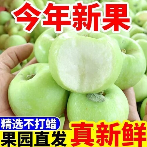 青苹果当季现摘水果酸甜爽口红富士新鲜头茬早熟嘎啦果一整箱包邮