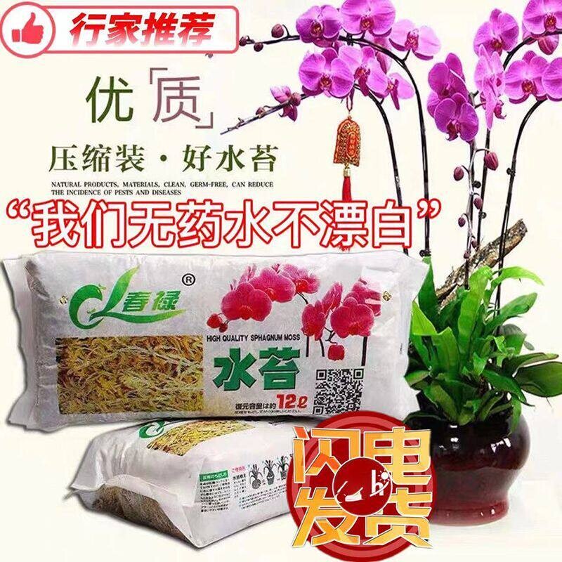 干水苔蝴蝶兰专用青苔兰花石斛猪笼草土苔藓鱼缸乌龟垫料花盆种植