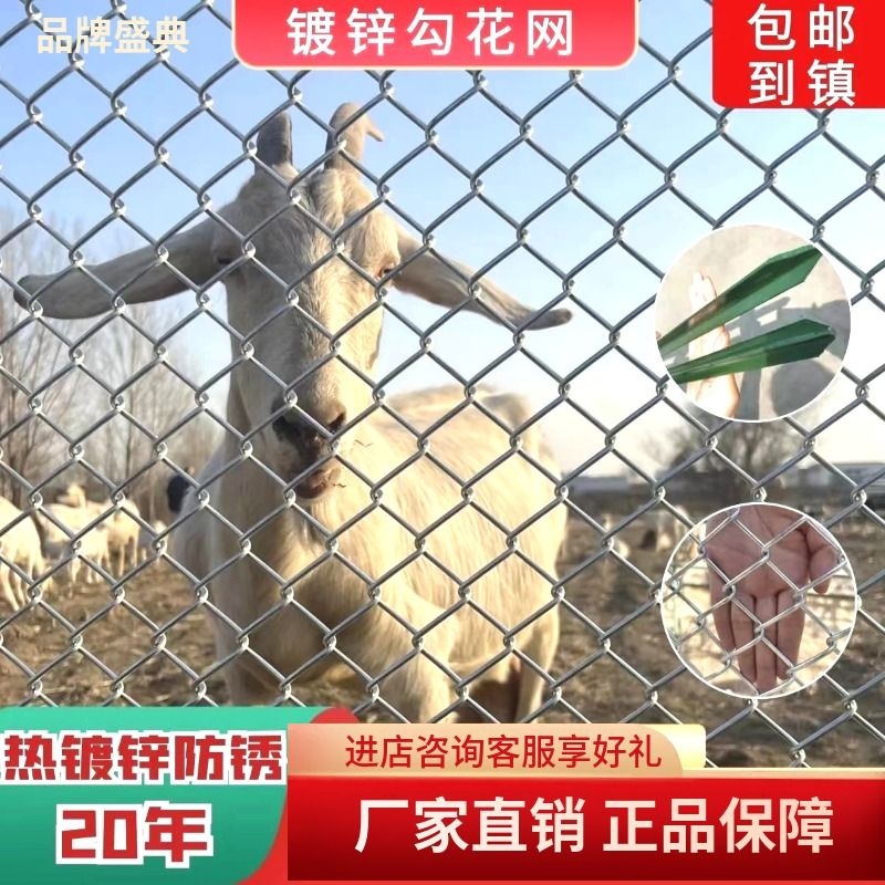 热镀锌铁丝网围栏网养鸡狗养殖网勾花网钢丝网户外防护网网格果园