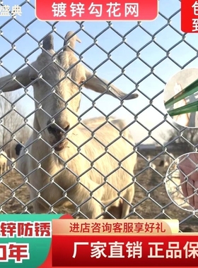 热镀锌铁丝网围栏网养鸡狗养殖网勾花网钢丝网户外防护网网格果园