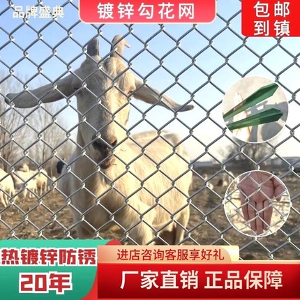 热镀锌铁丝网围栏网养鸡狗养殖网勾花网钢丝网户外防护网网格果园