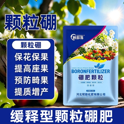 颗粒硼肥果树专用促花坐果蔬菜底肥缓释叶面肥料水溶肥瓜果西红柿