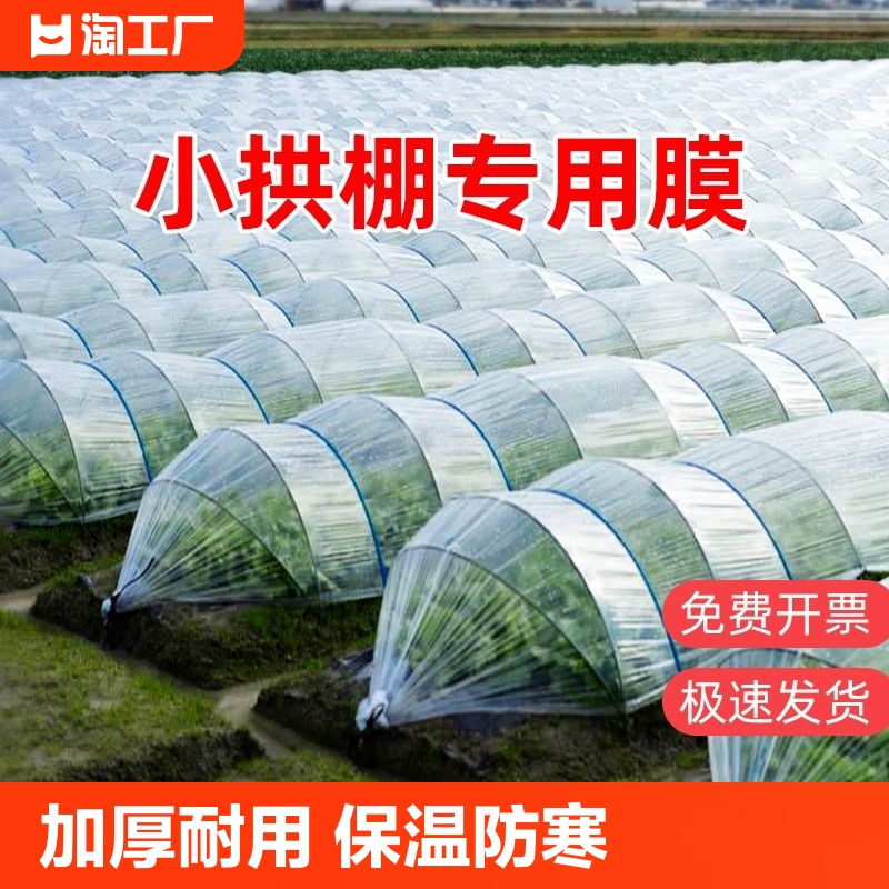 透明小拱棚膜塑料膜蔬菜大棚膜种菜农用薄膜育苗保温pe塑料布1米