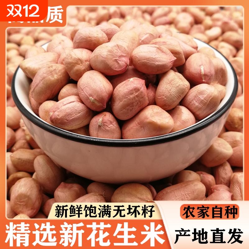 2025年花生米新鲜大颗粒白沙生花生米仁新货河南农家自产新花生