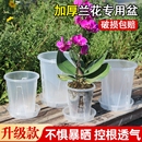 花大爷大号加厚升级控根透气空气柱花盆透明环保树脂塑料种植花盆