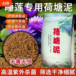 荷塘泥天然淤泥河塘泥碗莲睡莲荷花水生花卉专用营养泥营养土