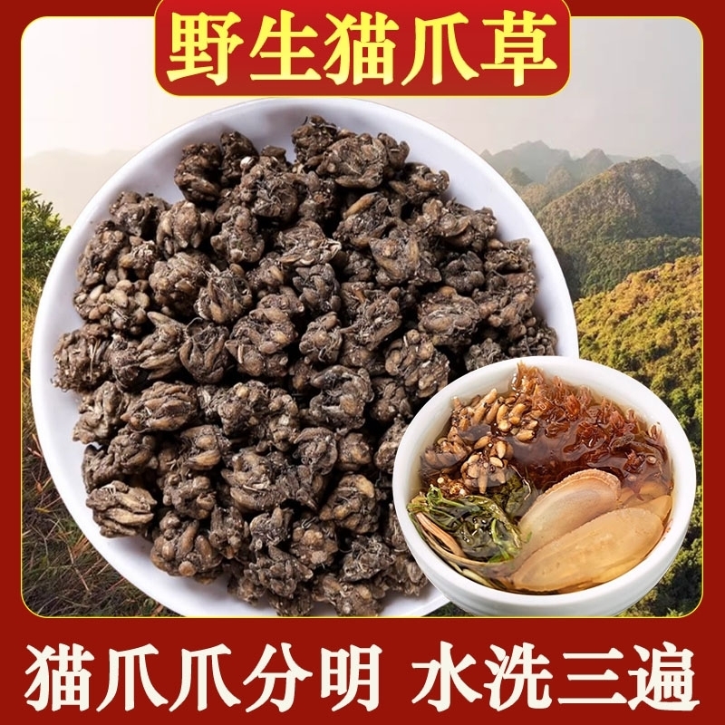猫爪草材野生猫抓草夏枯草水洗蒲公英汤原料新鲜