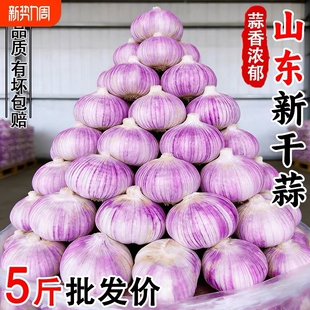 金乡大蒜农家大蒜头干蒜紫白皮新干蒜种籽新鲜蔬菜新大蒜头生鲜