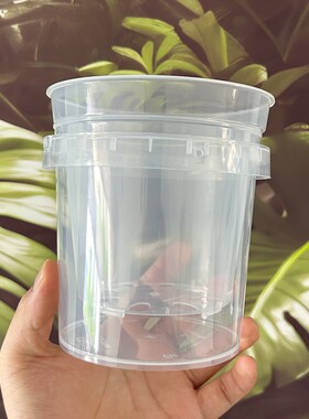 塑料花盆半透气外盆蝴蝶兰花套盆控根家用高透明水培镂空石斛花盆