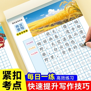 一句话日记练字帖小学生专用一看就会扩句法写作文字帖人教版语文看图写话专项训练一二三四年级上下册周记日记优美句子描红练字本