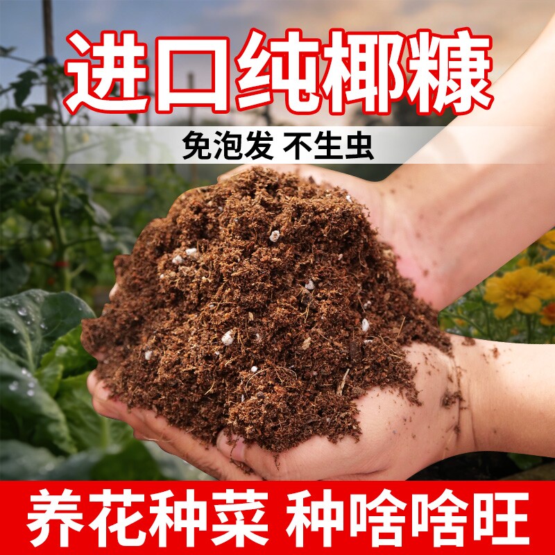椰糠营养土种菜泥炭土椰砖专用包邮椰糠土养花土壤多肉植物园艺