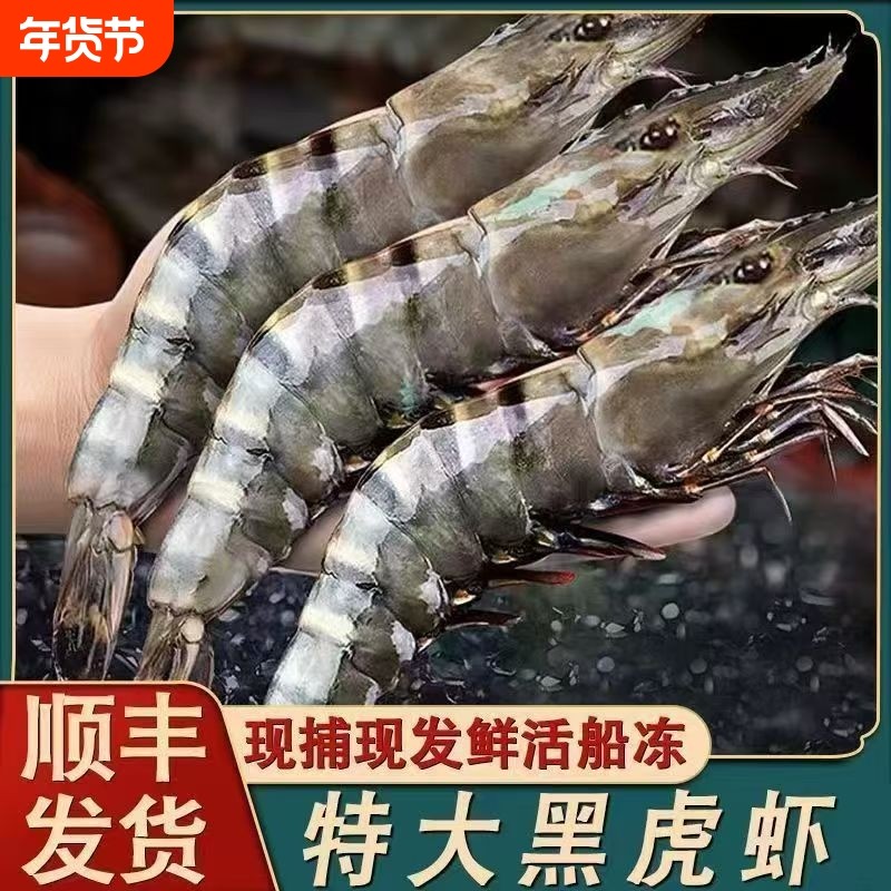 黑虎虾大虾鲜活超大老虎虾新鲜速冻深海基围虾特大海鲜九节竹节虾,水产肉类/新鲜蔬果/熟食,冻虾,淘宝优惠券,粉丝福利购,淘宝优惠卷