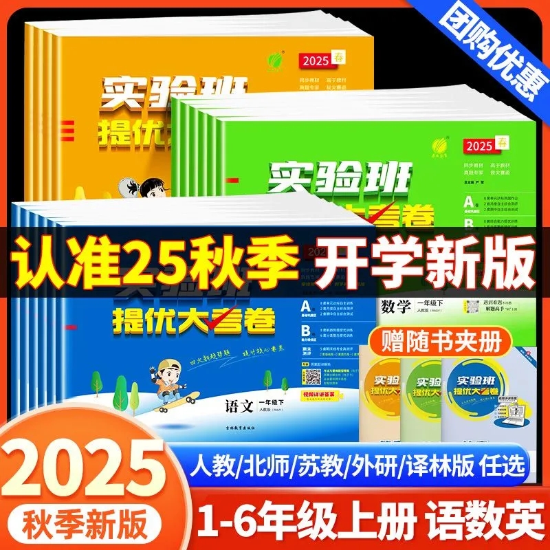 新版实验班提优大考卷小学一