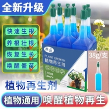 通用植物营养液水培养花园艺浓缩花卉绿萝盆栽有机花肥开花黄叶