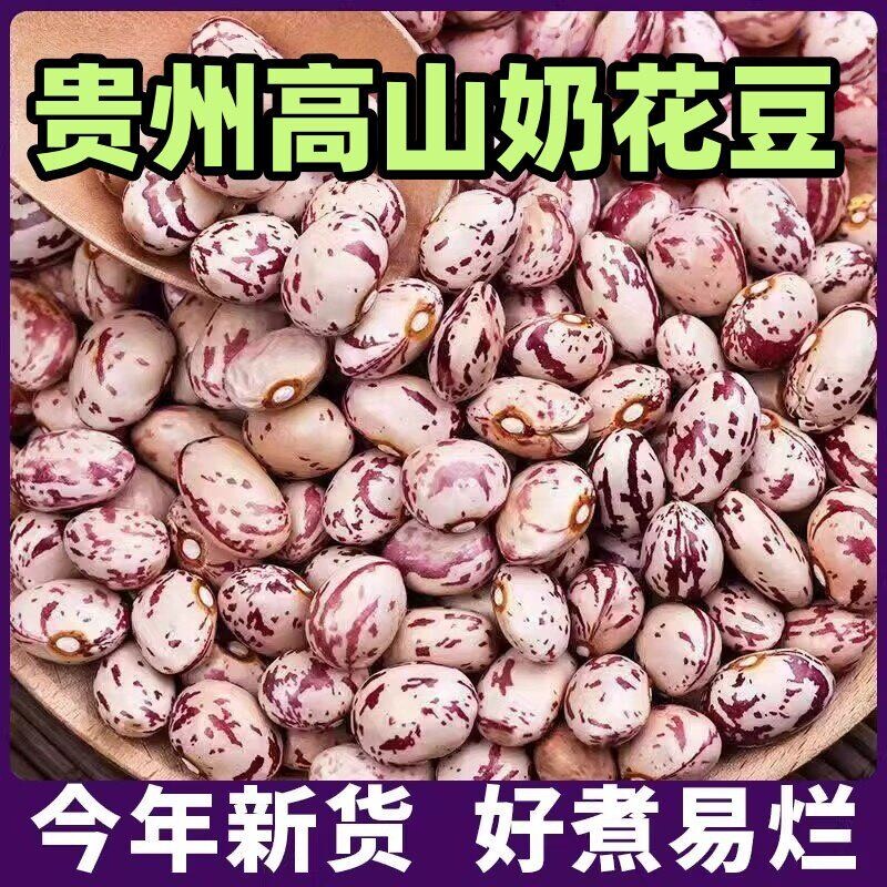 新货云南雀蛋豆子奶花芸豆熊猫豆圆粒红花豆孔雀豆芙蓉豆五谷杂粮