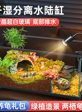 乌龟饲养缸生态水陆两栖