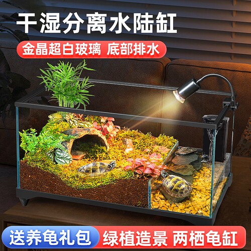 乌龟饲养缸生态水陆两栖