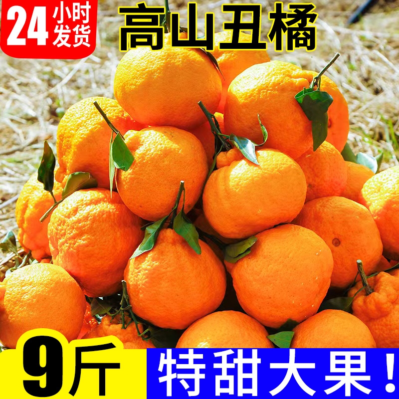 正宗丑橘当季特甜特大果整箱