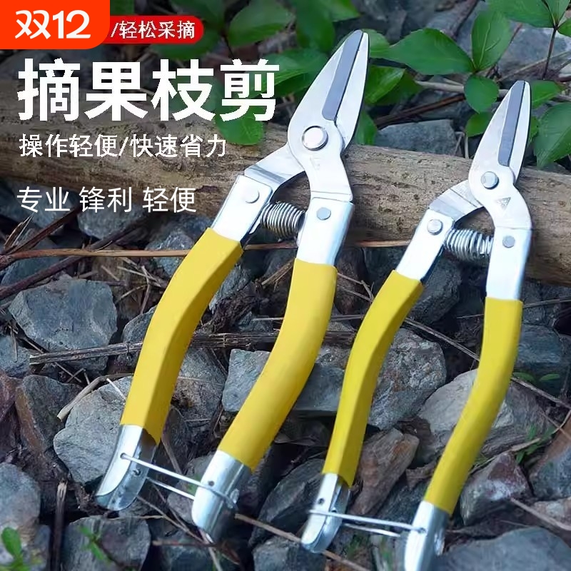 不锈钢摘果剪柑橘剪圆头剪果子剪柑桔剪平头直头水果采摘剪刀果剪