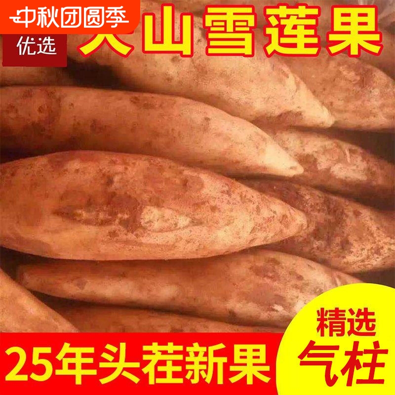 【A＋】天山雪莲果新鲜中大果应当季水果精品云南雪连果整箱低糖