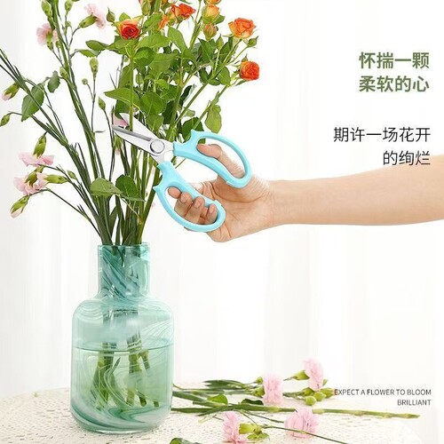 花艺剪刀花店插花修花修枝剪花花园圆头花艺培训插画画家家用剪刀