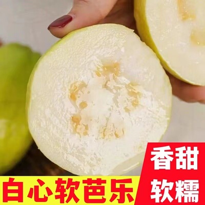 高山白心芭乐黄金奶油芭乐软糯香甜树熟白心应季新鲜水果番石榴硬