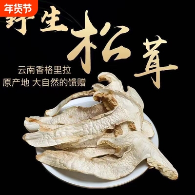 云南野生松茸高海拔野生菌干货