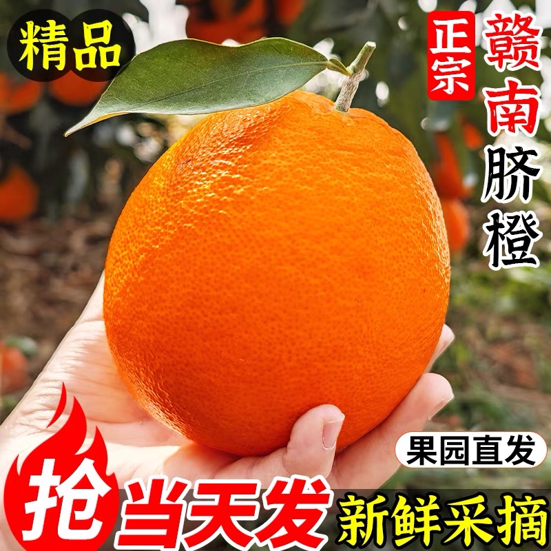 【精品大果】江西赣南脐橙爆甜橙子当季新鲜薄皮水果整箱产地直发