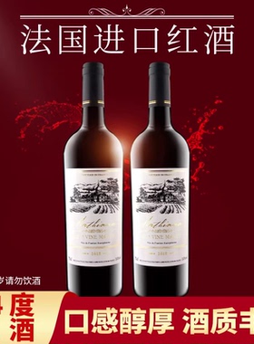 法国原装进口干红买一瓶送葡萄酒750ml赤霞珠14度节日送礼原瓶