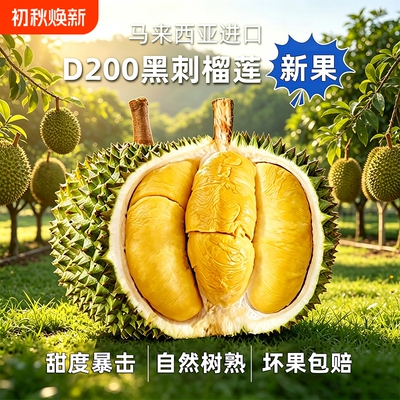 黑刺榴莲D200马来进口AA级