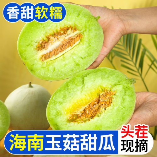 海南玉菇甜瓜香瓜冰淇淋脆甜白瓜