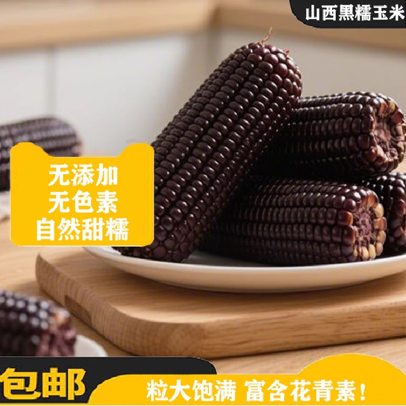 新鲜现摘黑糯玉米软玉米代餐粗粮玉米优质黑糯玉米
