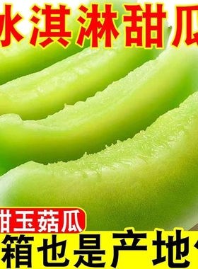 【甄选】现货玉菇甜瓜新鲜水果当季正宗冰淇淋蜜瓜香瓜羊角瓜软糯
