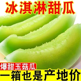 正宗冰淇淋蜜瓜香瓜羊角瓜软糯 现货玉菇甜瓜新鲜水果当季 甄选