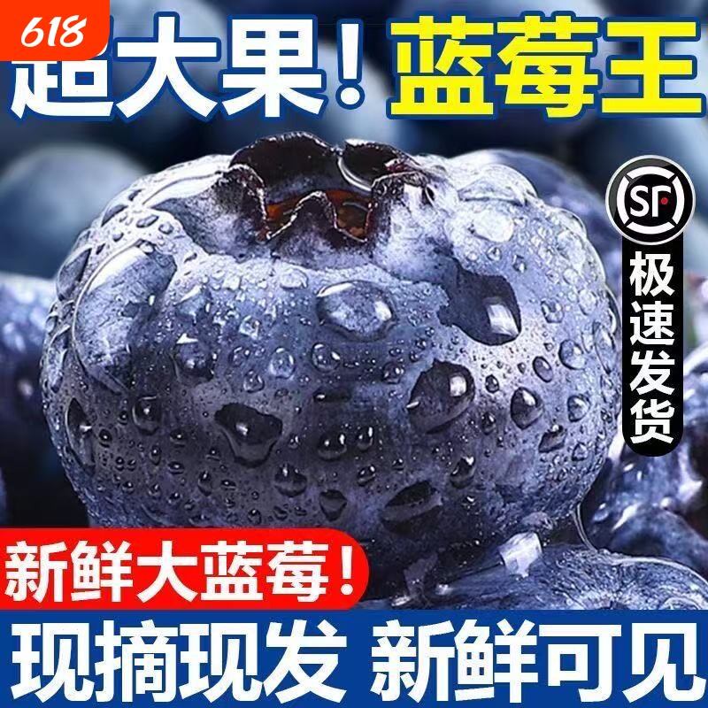 顺丰包邮丹东蓝莓新鲜水果当季L25鲜果现摘花香高山孕妇大果采摘