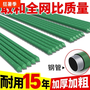花架爬藤架葡萄黄瓜豆角架杆庭院种植月季种菜支撑杆植物棚架支架