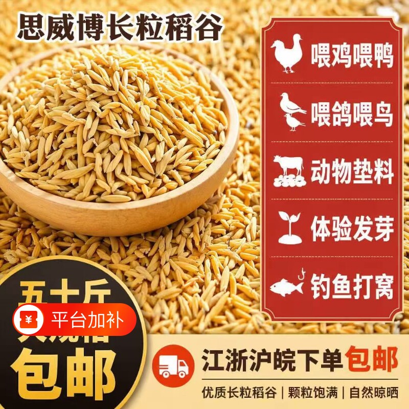 带壳稻谷谷子水稻圆稻子粮食杂粮大米喂鸡鸭鹅鸽子鸟仓鼠宠物饲料