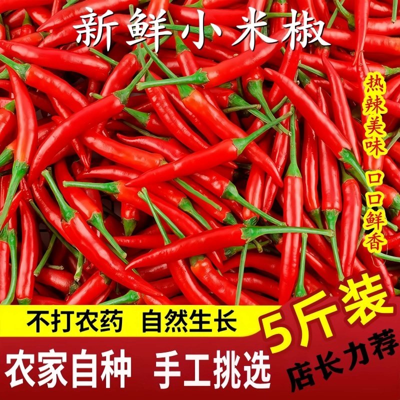小米辣椒新鲜5斤批发小米椒朝天椒特辣超辣薄皮土红辣椒指天椒9斤,水产肉类/新鲜蔬果/熟食,辣椒,淘宝优惠券,粉丝福利购,淘宝优惠卷