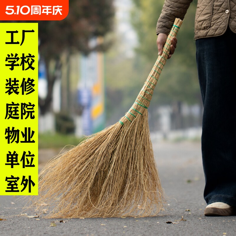 铁扫把草扫把地肤草金丝草大铁扫帚工地笤帚庭院马路室外