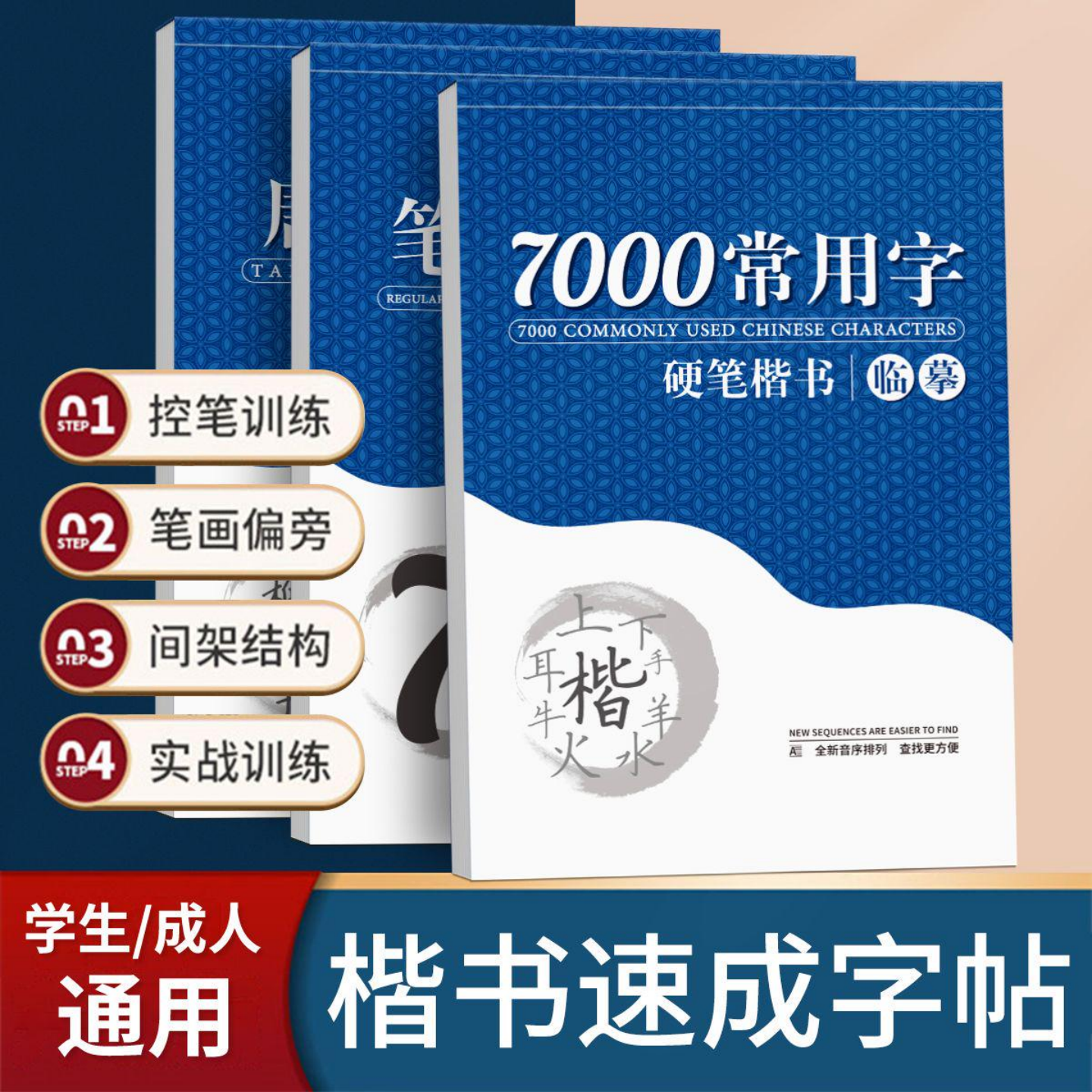 临摹练字帖成年楷书正楷成人硬笔