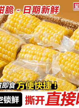 水果甜玉米段玉米中段开袋即食代餐真空包装半截学生免煮早餐低脂