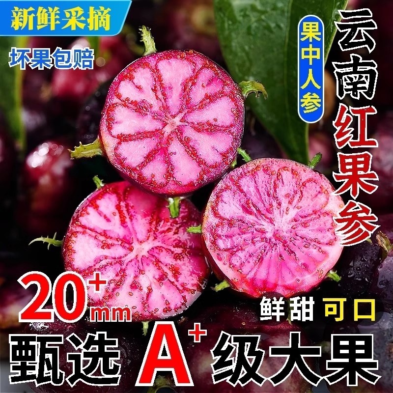 新鲜红果参农家现摘算盘果蜘蛛果新鲜稀奇水果当季新鲜红参果