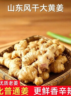 正宗山东新鲜应季水洗风干生姜5斤大姜老姜大黄姜月子姜批发食用