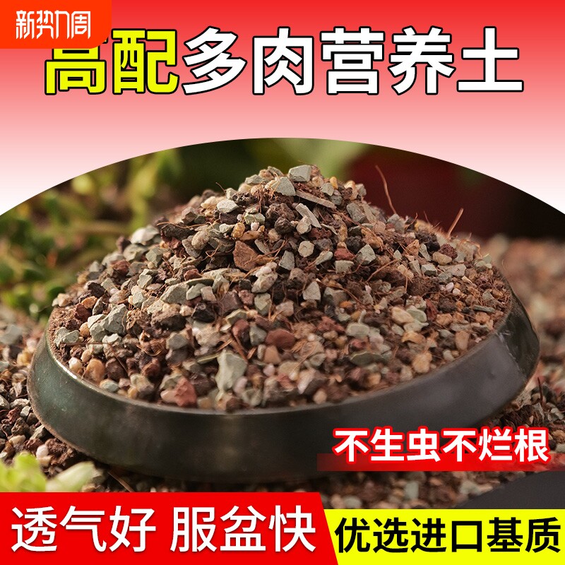 颗粒土多肉营养土专用土壤种植土泥炭进口栽培铺面石纯颗粒肥花土