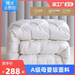 羽绒被95白鹅绒全棉被子五星级酒店春秋冬被芯冬季加厚保暖子母