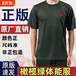 速干透气体能训练服套装 夏季 橄榄绿t恤圆领男户外 短裤 体能服短袖