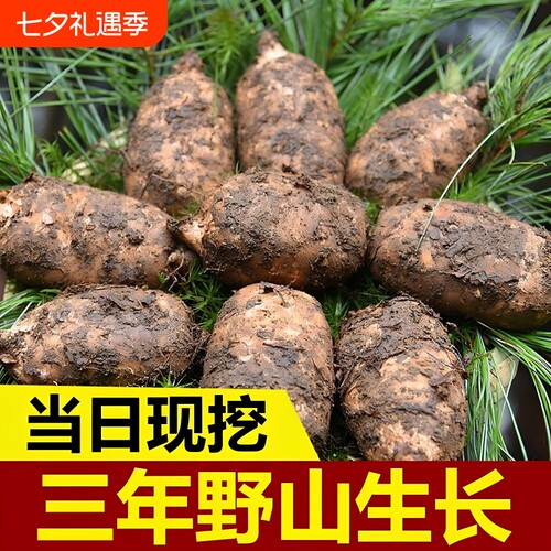 新鲜天麻正宗特级正品货昭通小草坝天麻根片非干货中药材包邮现发